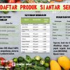 Siantar Sehat (Sise) - Gambar 2