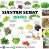 Siantar Sehat (Sise) - Gambar 3