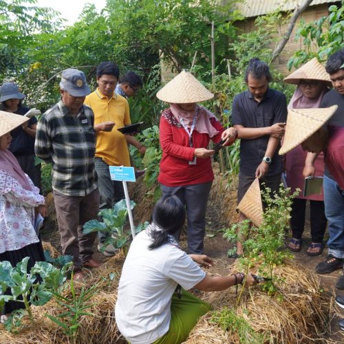 APO-peningkatan-kualitas-DSC05131